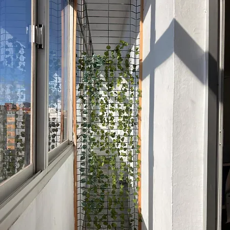 Casa de hóspedes Coliving Lopez Las Palmas de Gran Canárias